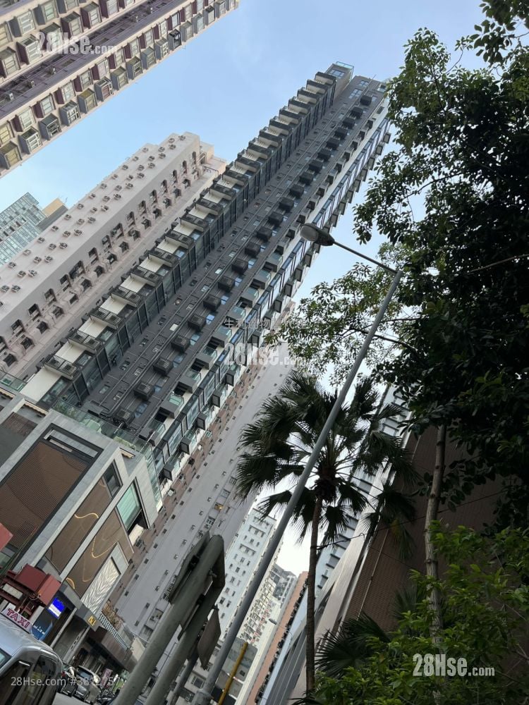 Alpine 18 Rental Studio , 1 Bathroom 225 ft²