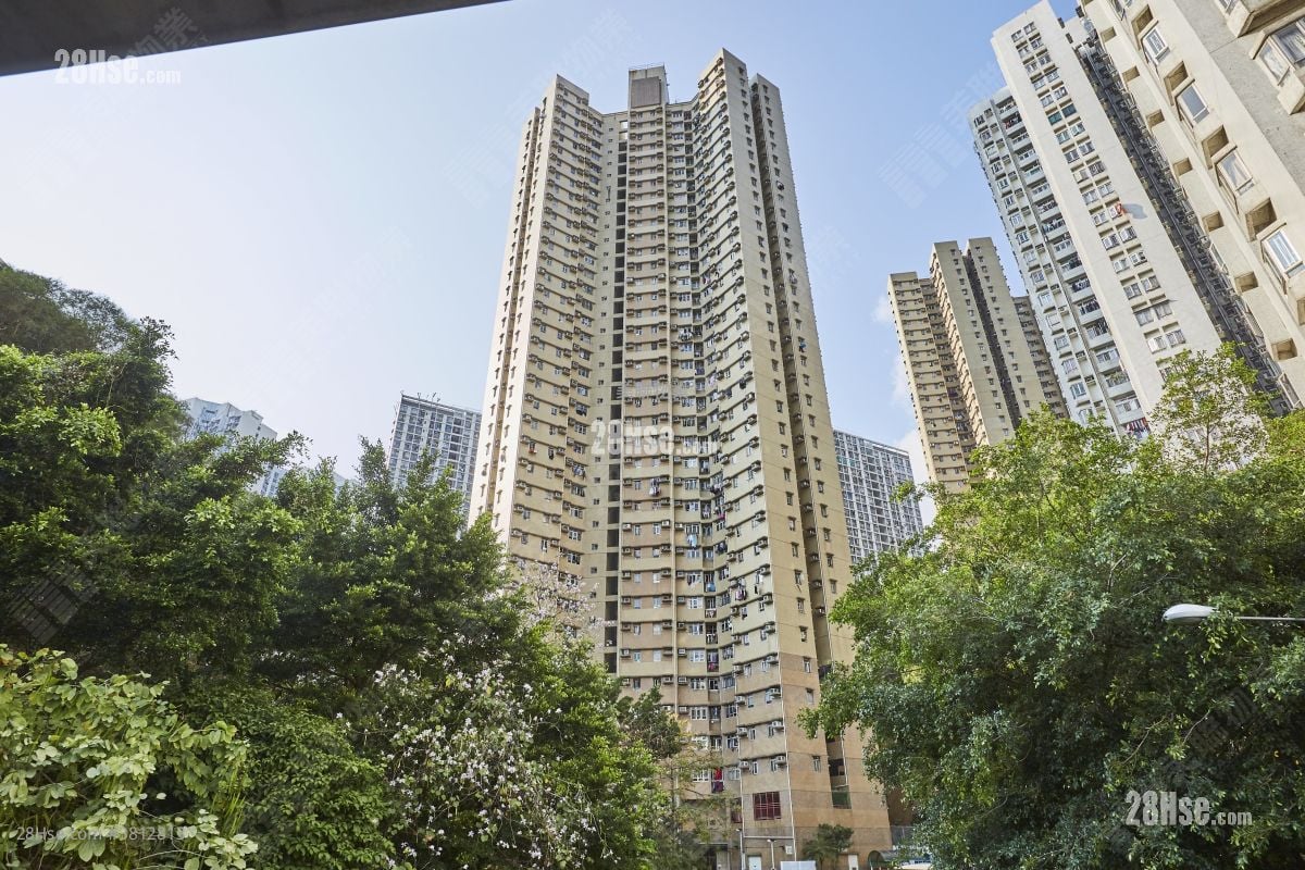 葵康苑 租盘 2 房 , 1 浴室 477 平方尺