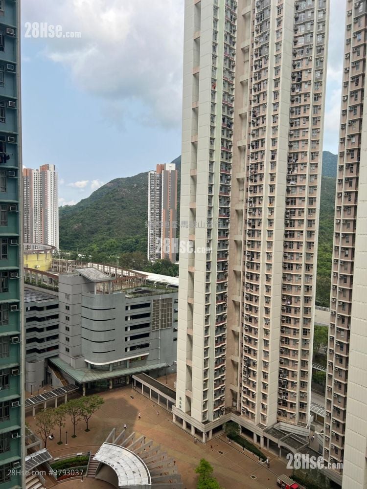 锦泰苑 售盘 3 房 , 1 浴室 650 平方尺