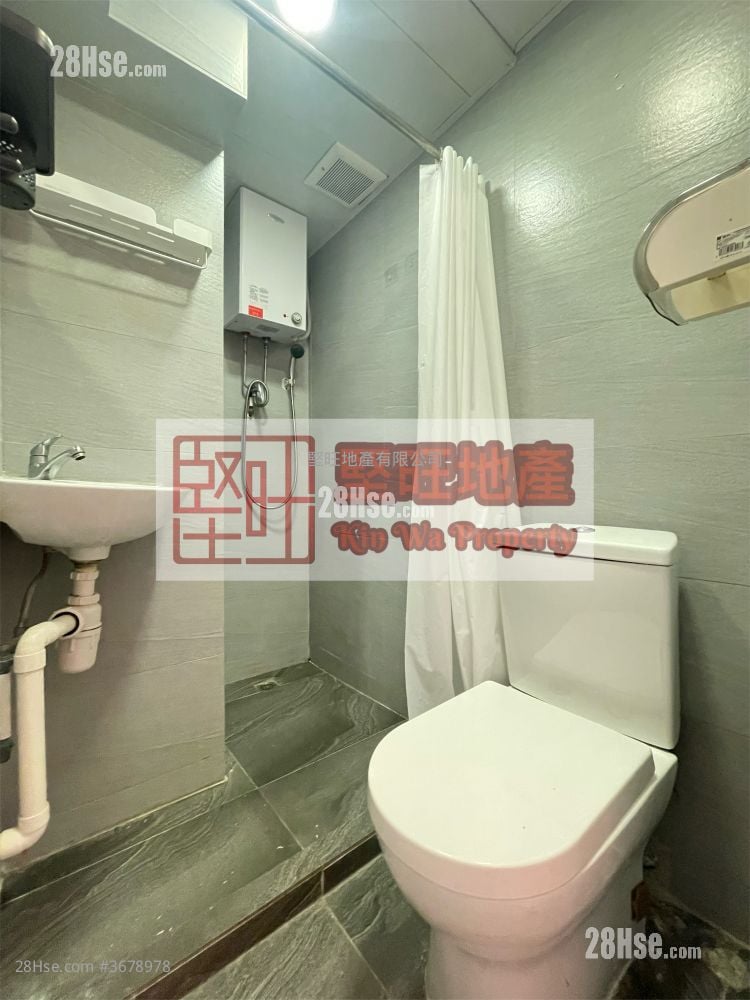 单幢楼房 租盘 开放式间隔 , 1 浴室 140 平方尺