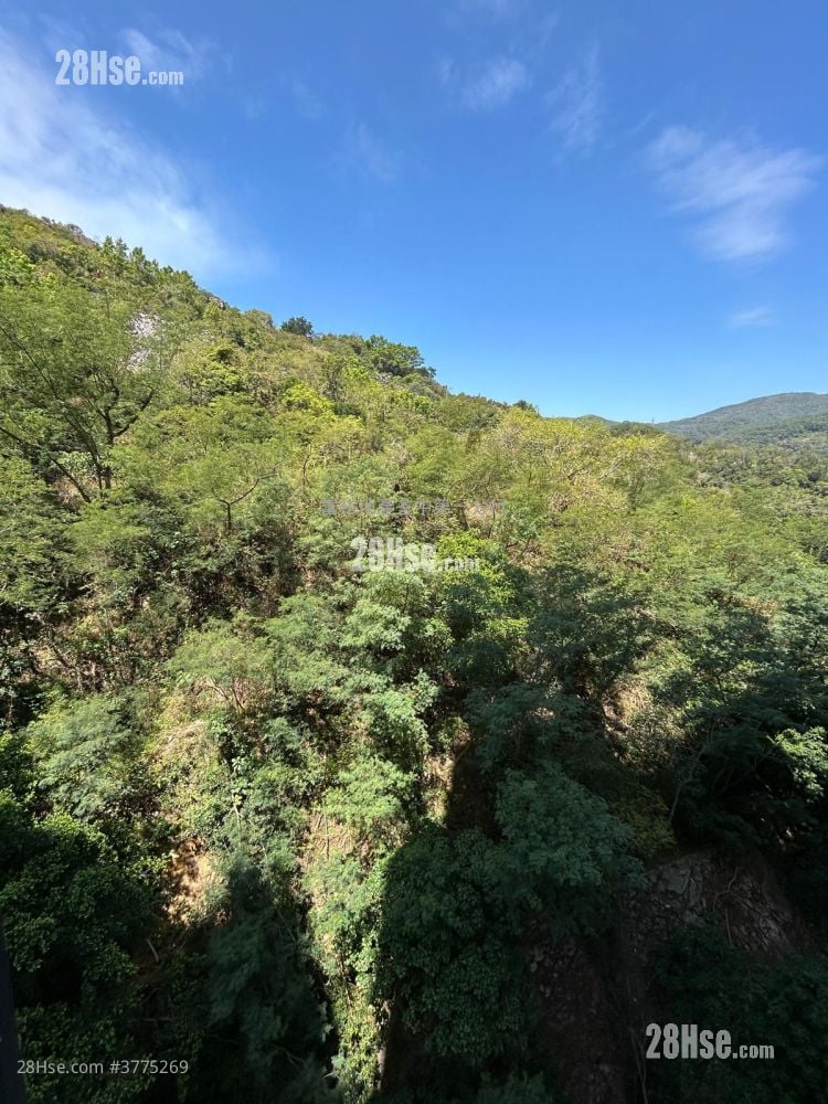 荃威花园 售盘 2 房 473 平方尺