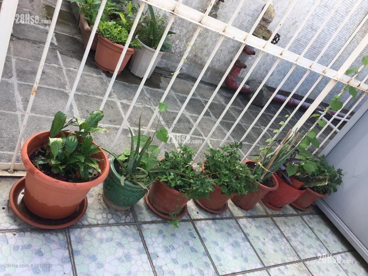 Fu Hong Building Sell 2 Bedrooms , 1 Bathroom