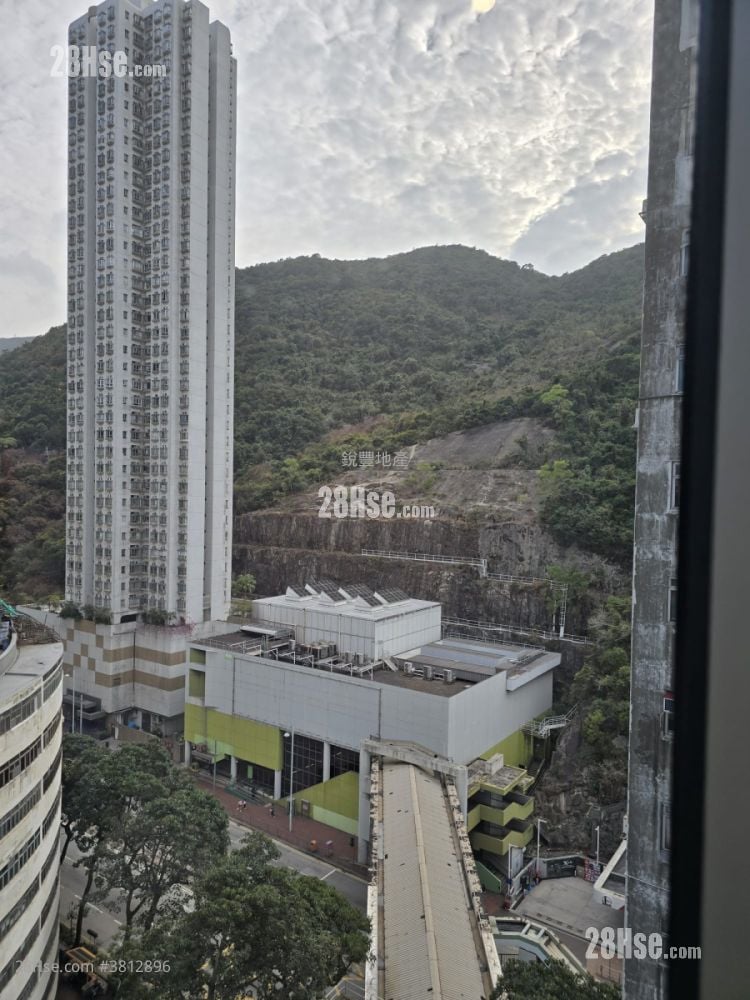 Finnie 租盘 2 房 , 1 浴室 364 平方尺