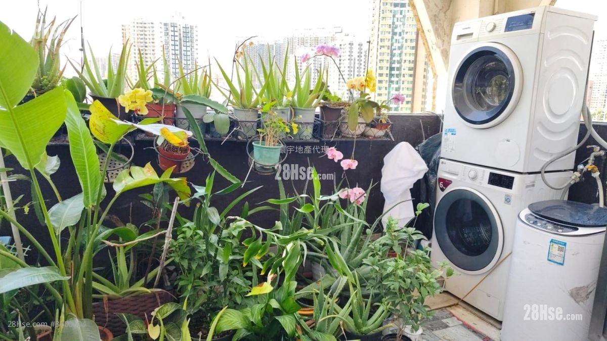 文翔大厦 租盘 2 房 , 1 浴室 338 平方尺