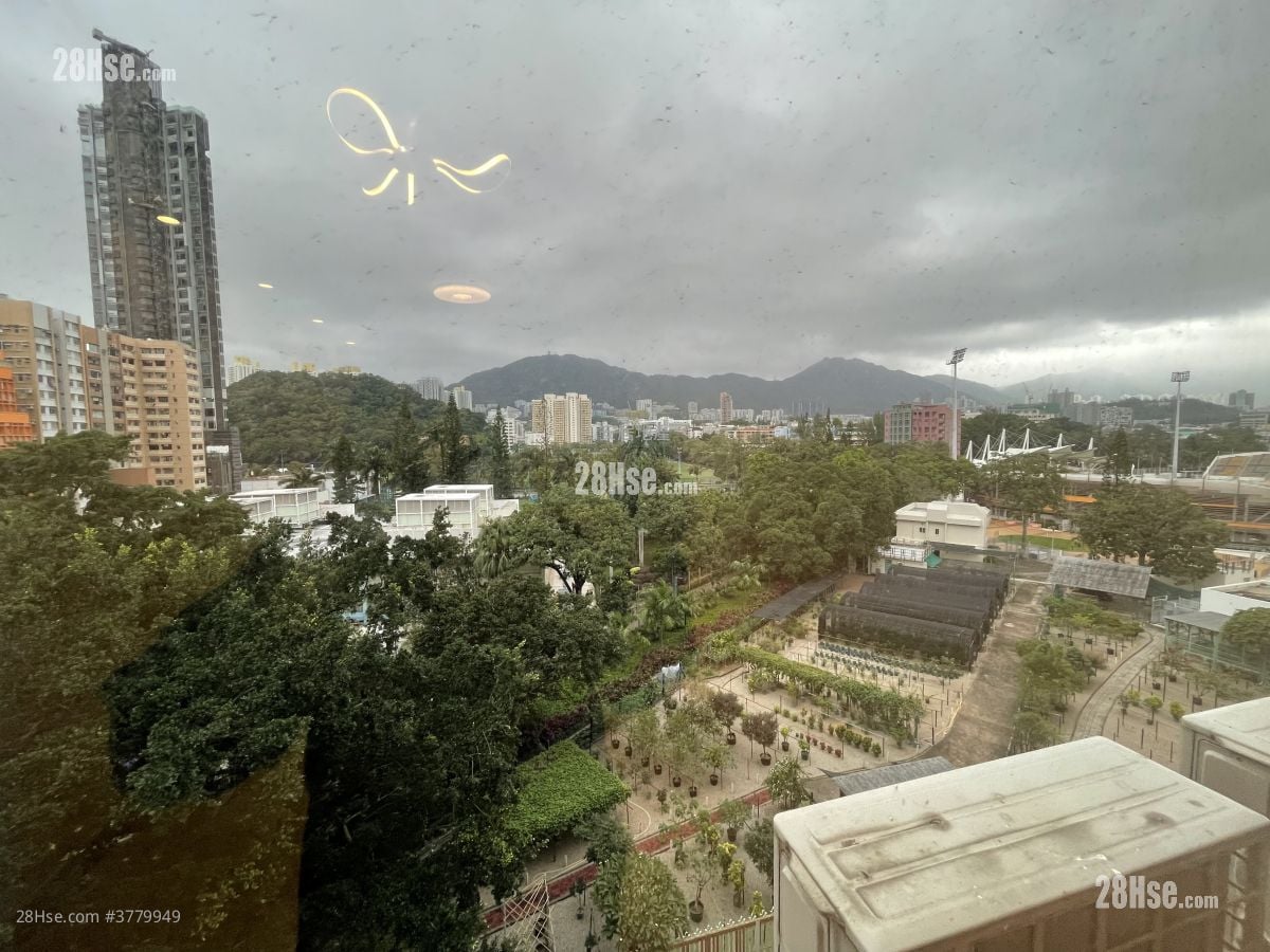 琼华阁 租盘 1 房 268 平方尺