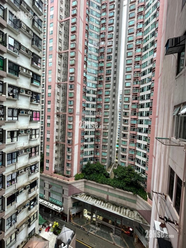 Yalford Building Rental 2 Bedrooms , 1 Bathroom 393 ft²