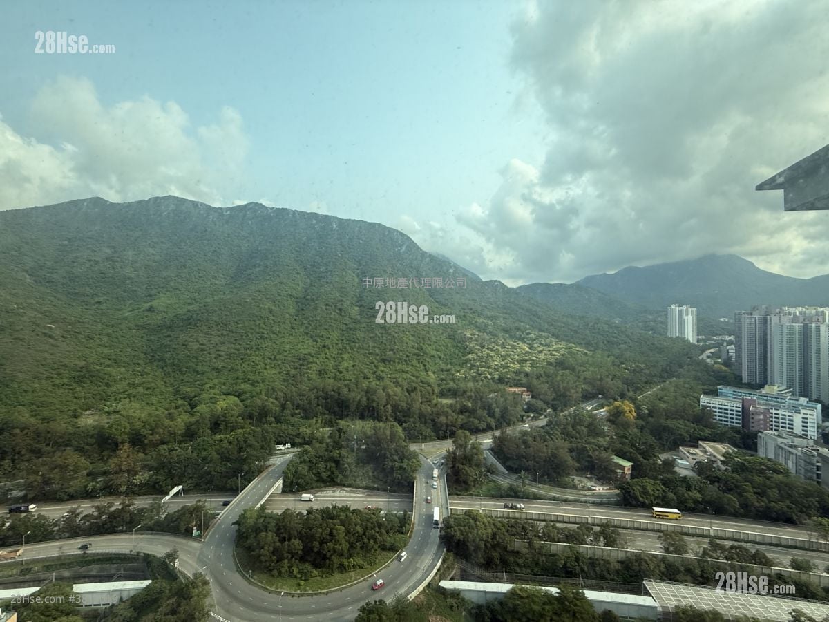 蓝天海岸 租盘 1 房 , 1 浴室 399 平方尺