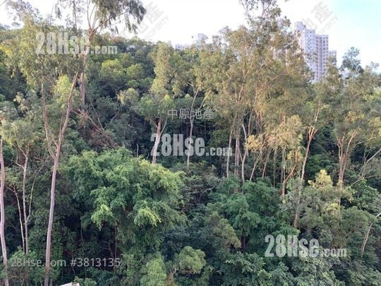 Park View Garden Sell 3 Bedrooms 607 ft²