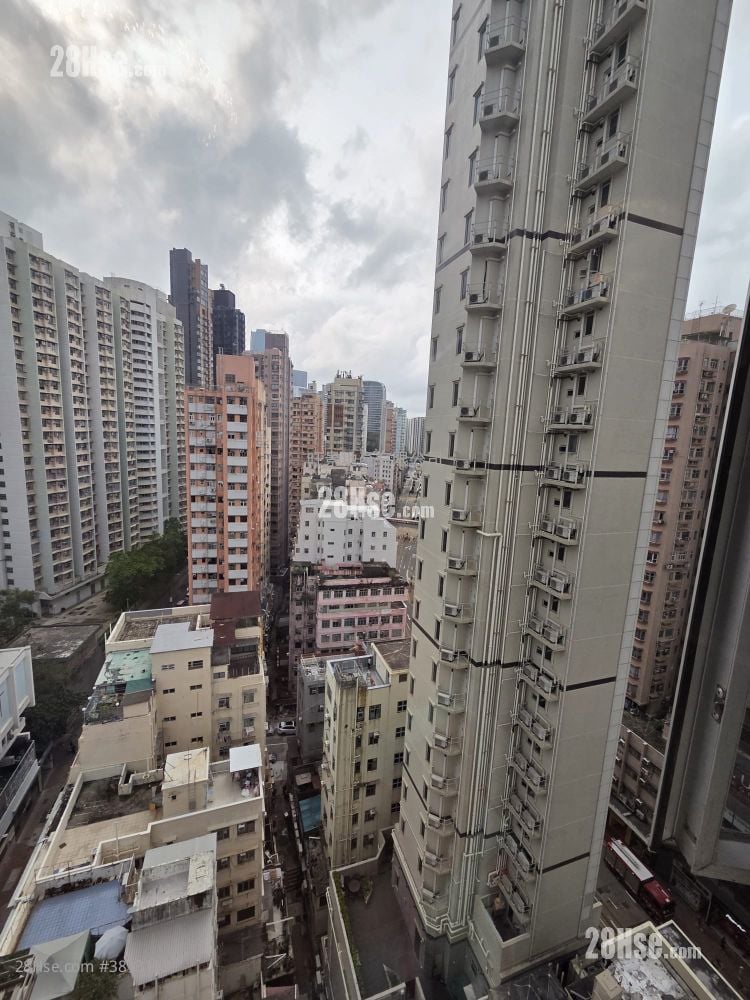 海利大厦 租盘 1 房 194 平方尺