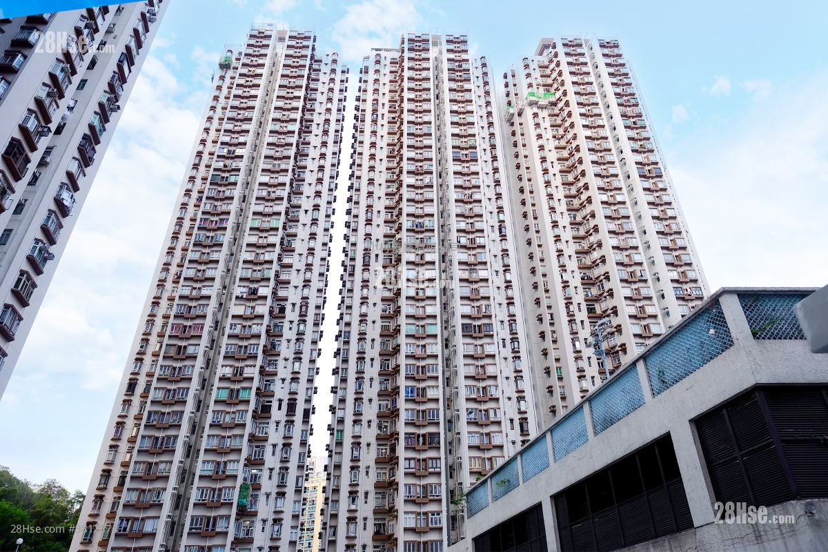 building outlook: Mayfair Gardens Sell 2 Bedrooms , 1 Bathroom 432 ft²