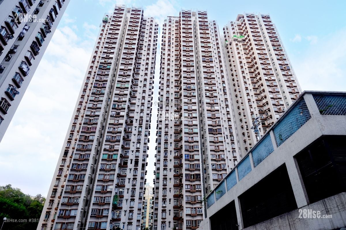 building outlook: Mayfair Gardens Sell 2 Bedrooms , 1 Bathroom 432 ft²