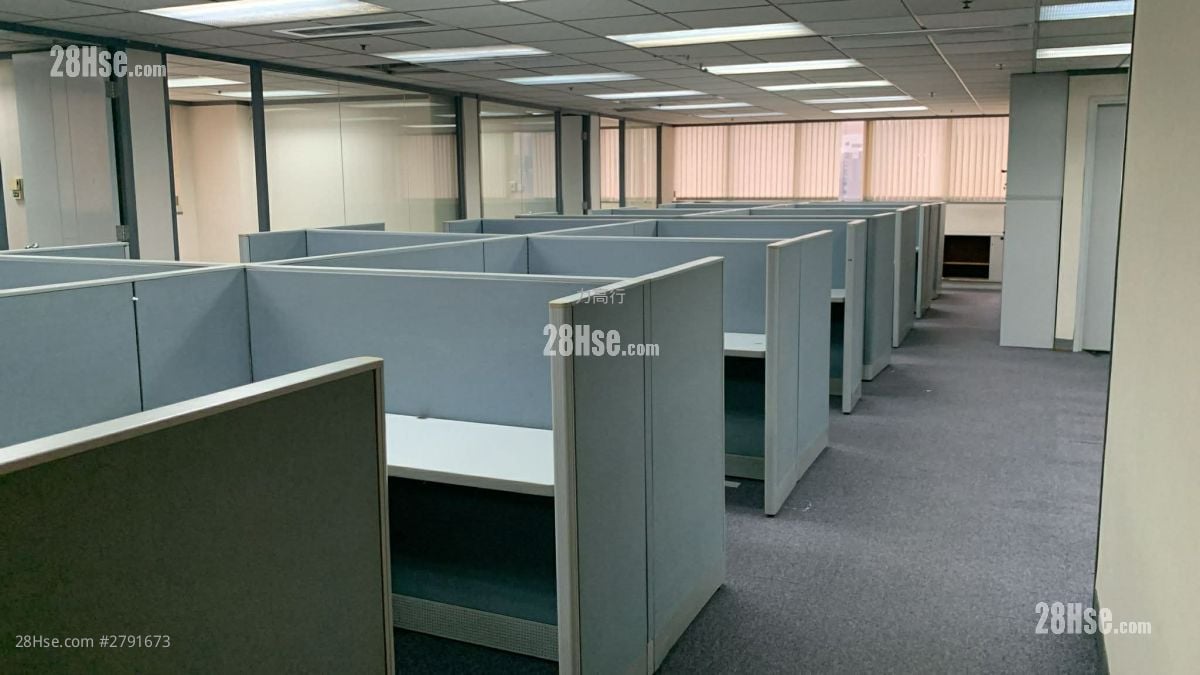 Seabright Plaza Rental 5+ Bedrooms