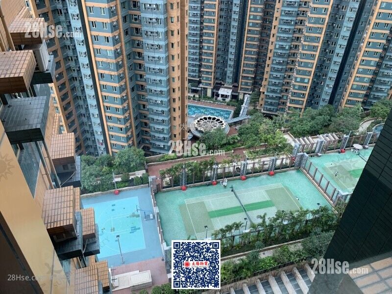 海滨南岸 租盘 3 房 593 平方尺