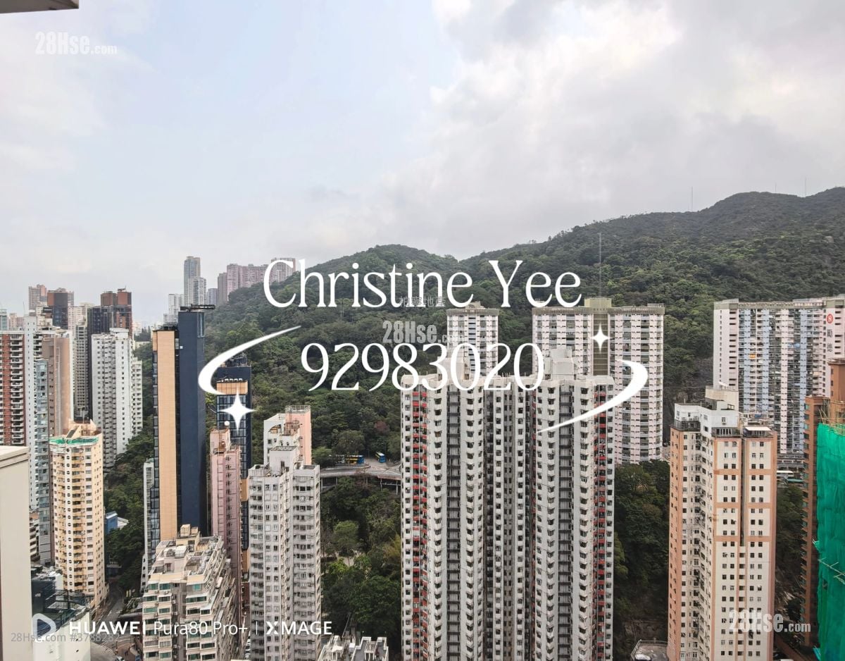 尚峦 租盘 1 房 , 1 浴室 387 平方尺