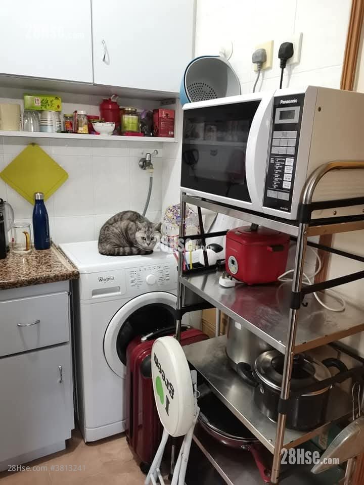 仁礼大厦 租盘 开放式间隔 , 1 浴室 205 平方尺