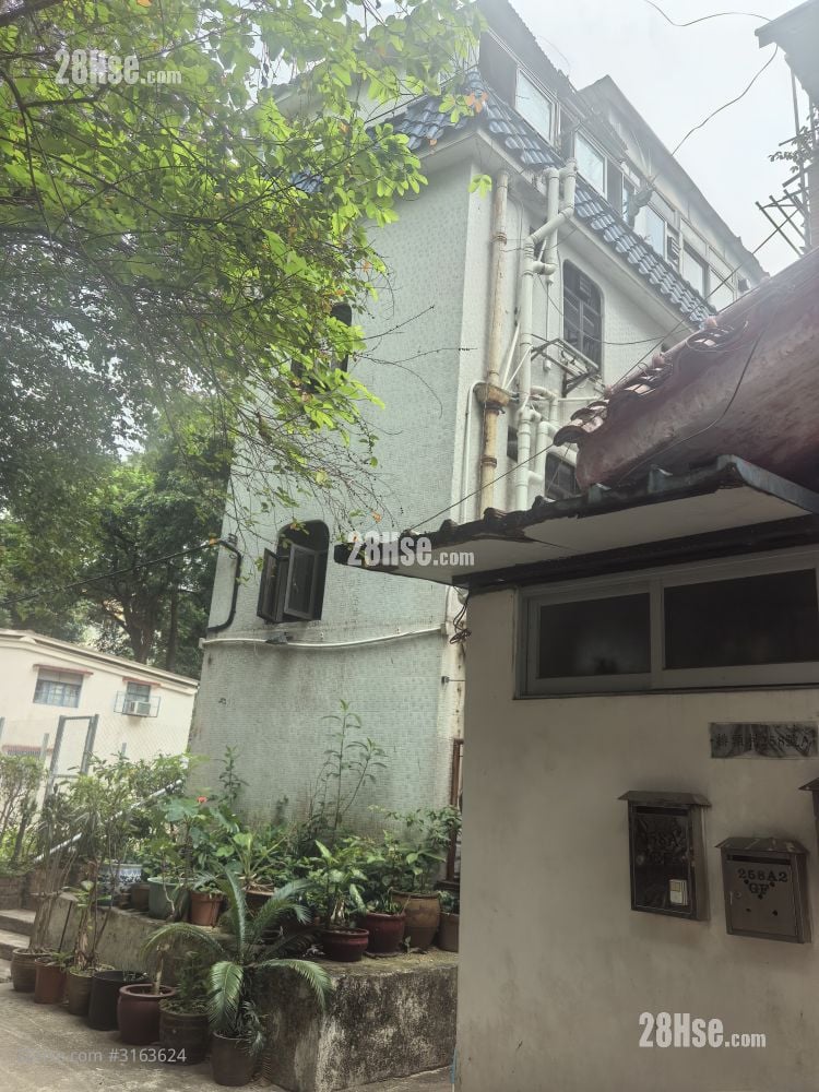 村屋 租盘 40 平方尺