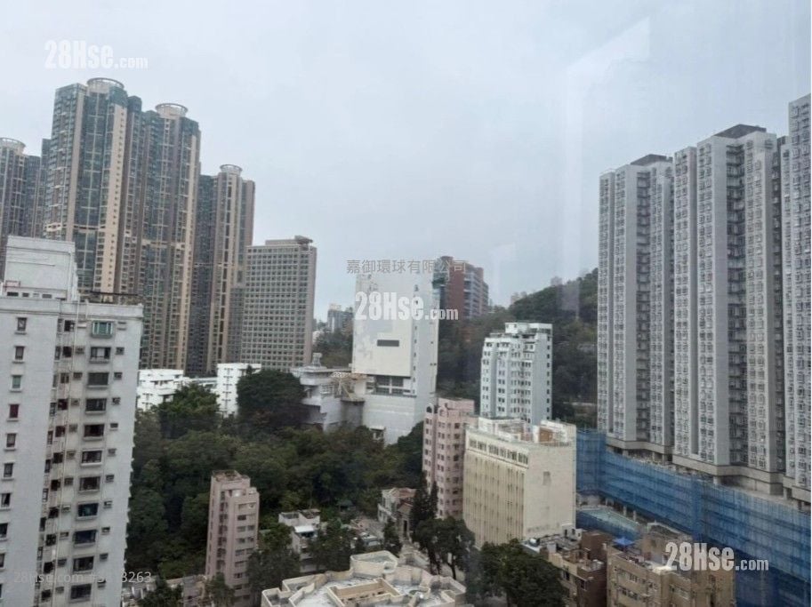 Kennedy 38 Rental 1 Bedroom , 1 Bathroom 292 ft²