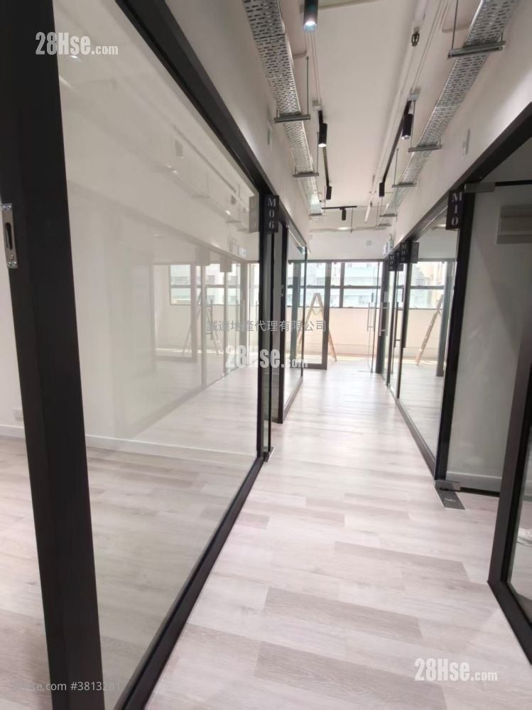 骆驼漆大厦 租盘