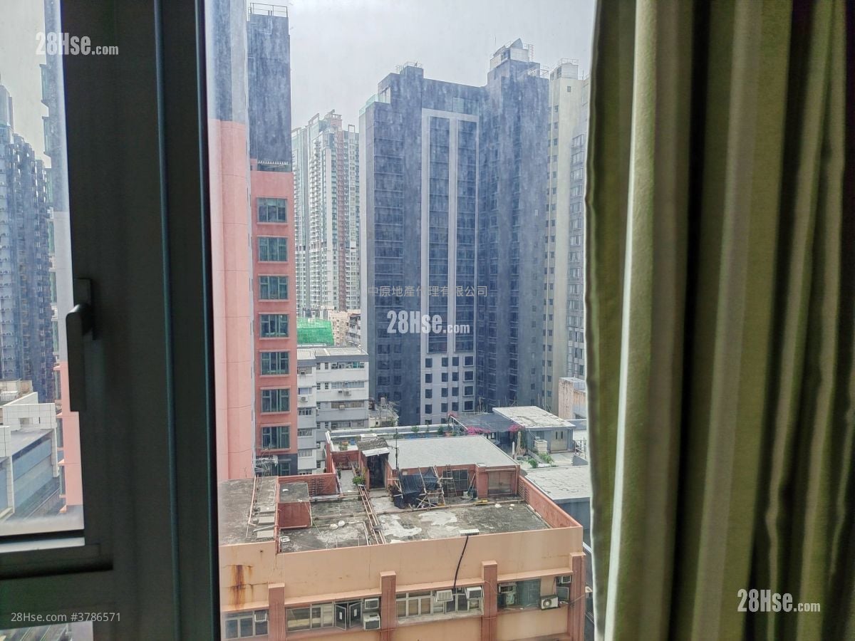 奥柏御峯 租盘 1 房 334 平方尺