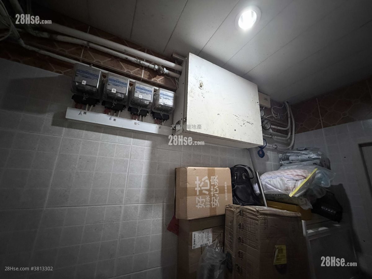 唐楼 售盘 558 平方尺