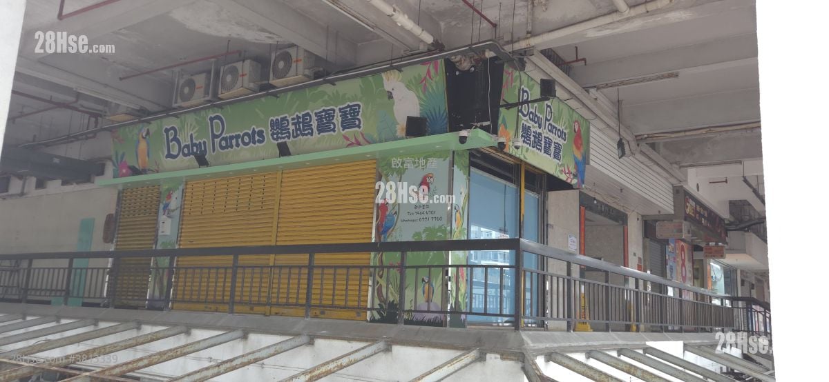 Tsuen Wan Garden Rental