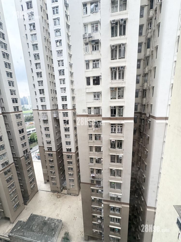 Wang Kwong Building Rental 2 Bedrooms , 1 Bathroom 391 ft²