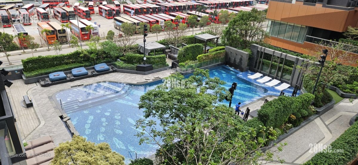 Regency Bay Rental Studio , 1 Bathroom 261 ft²