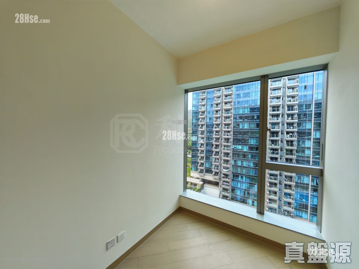 Grand Mayfair  Rental 3 Bedrooms , 2 Bathrooms 763 ft²