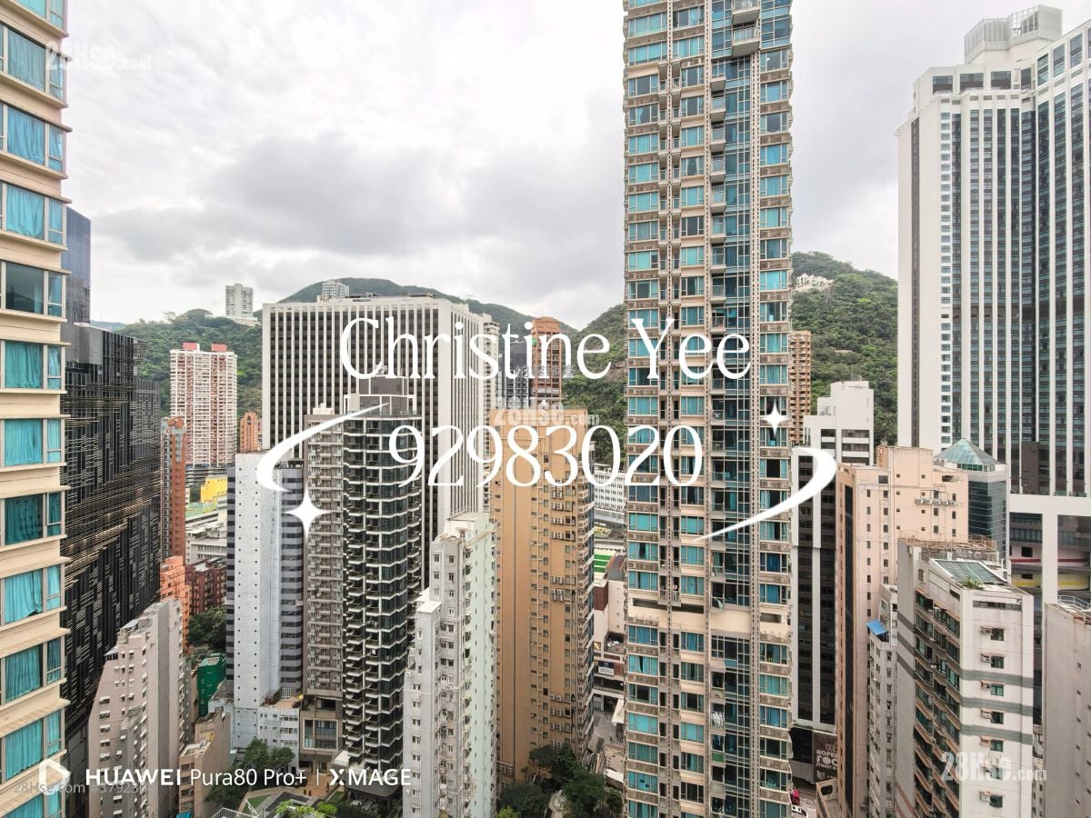 The Avenue Rental 2 Bedrooms , 1 Bathroom 552 ft²