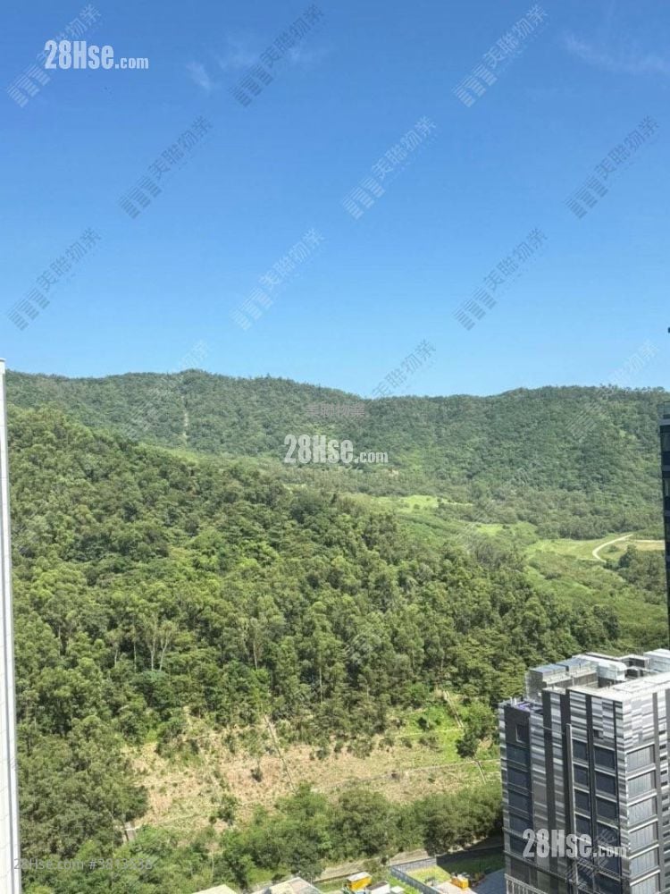 Manor Hill Rental 1 Bedroom , 1 Bathroom 300 ft²