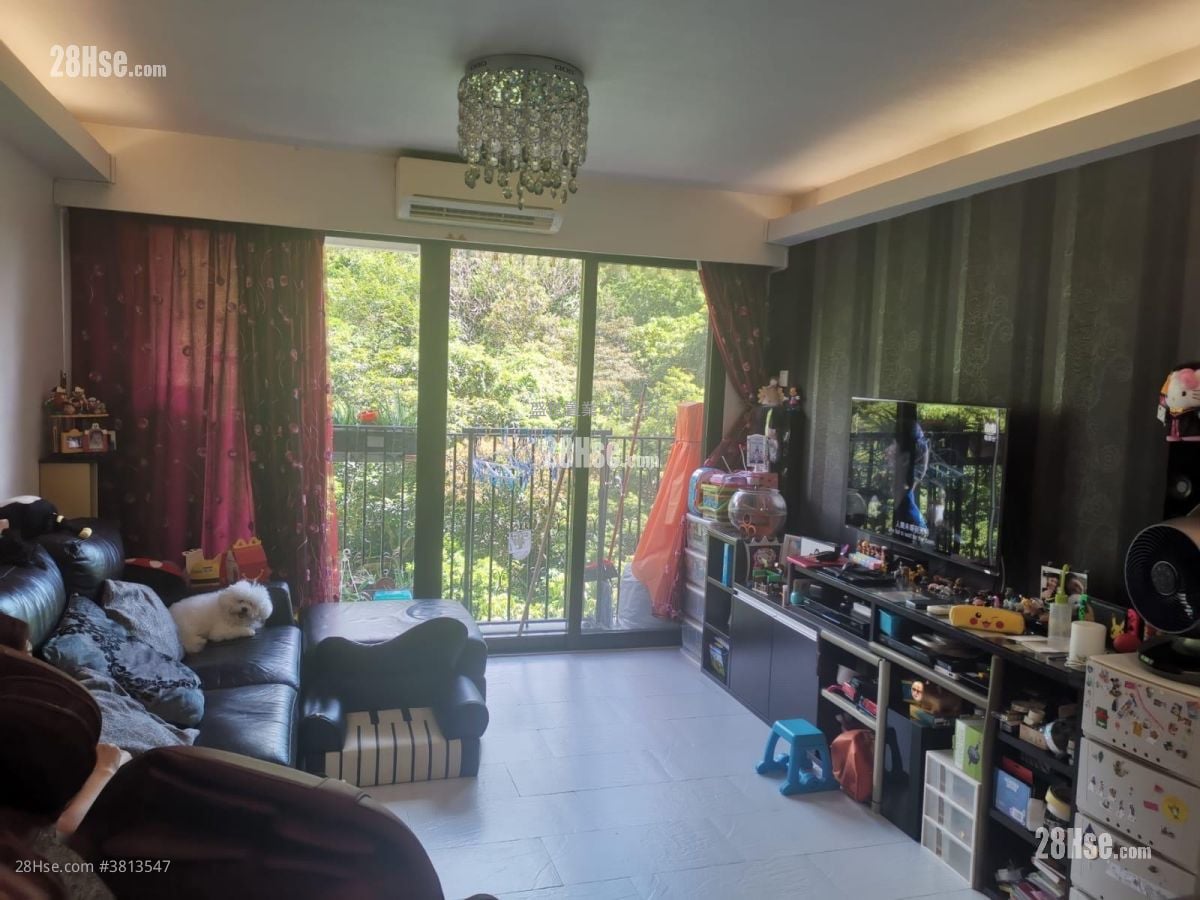 富豪花园 售盘 919 平方尺