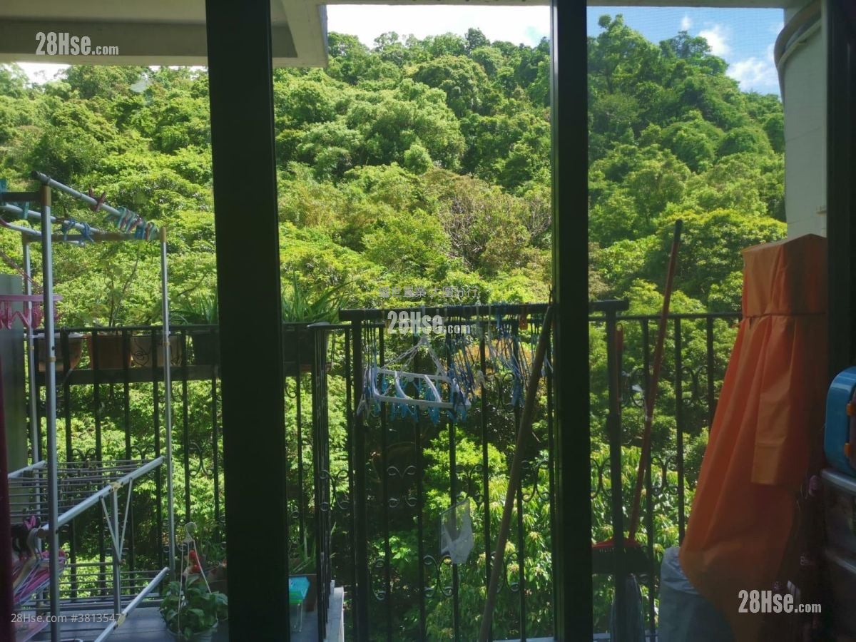 富豪花园 售盘 919 平方尺