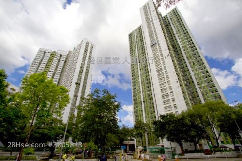 美城苑 售盤 1 浴室 490 平方呎