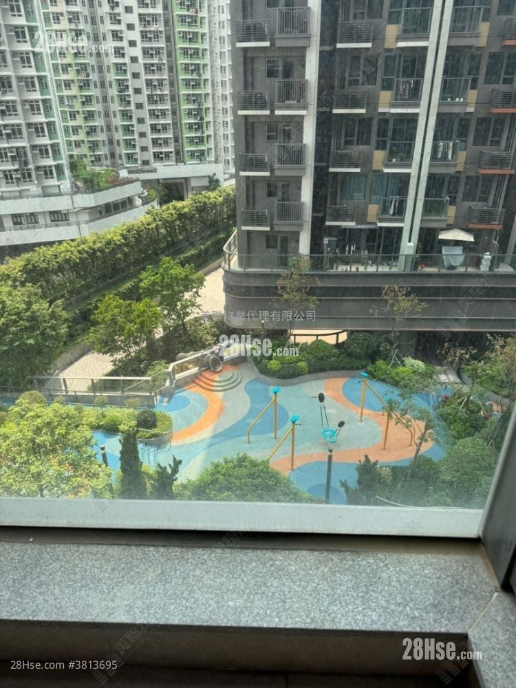 Novo Land Sell 235 ft²