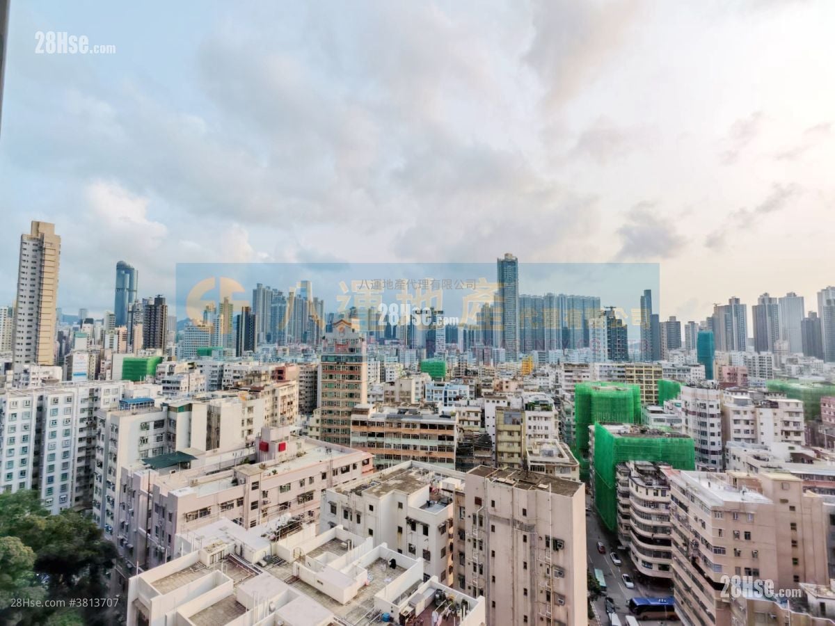 曉柏峰 租盤 2 房 , 1 浴室 365 平方呎