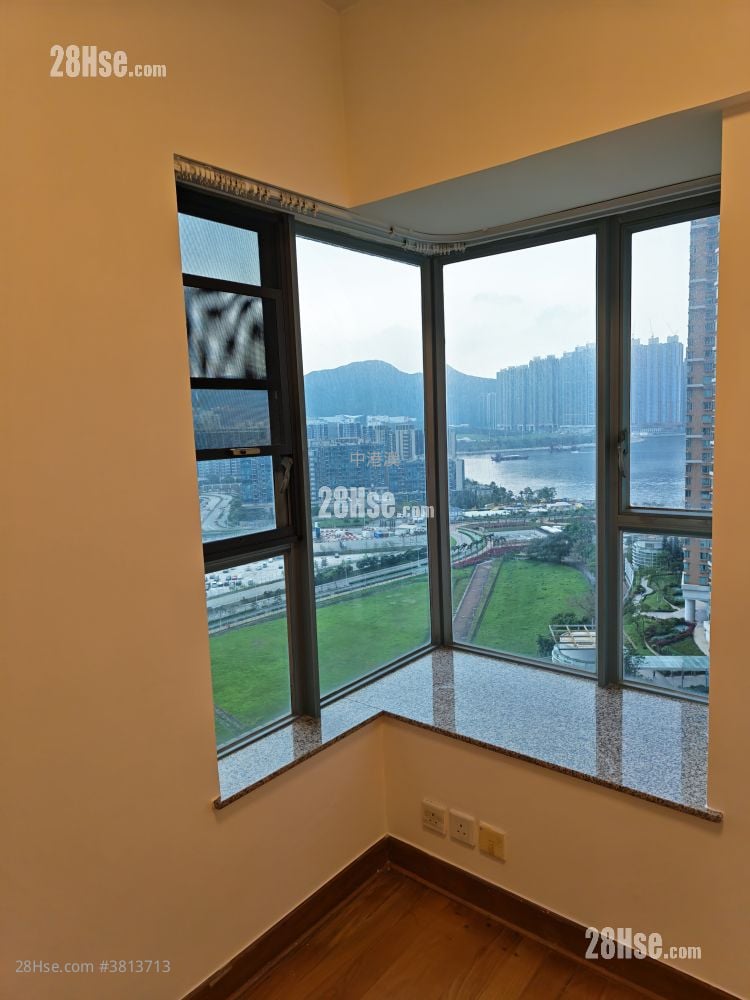 Ocean Shores Rental 2 Bedrooms , 1 Bathroom 533 ft²