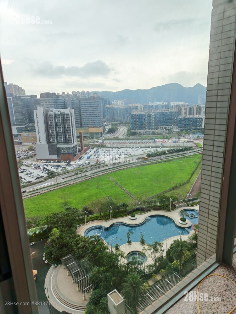 Ocean Shores Rental 2 Bedrooms , 1 Bathroom 533 ft²