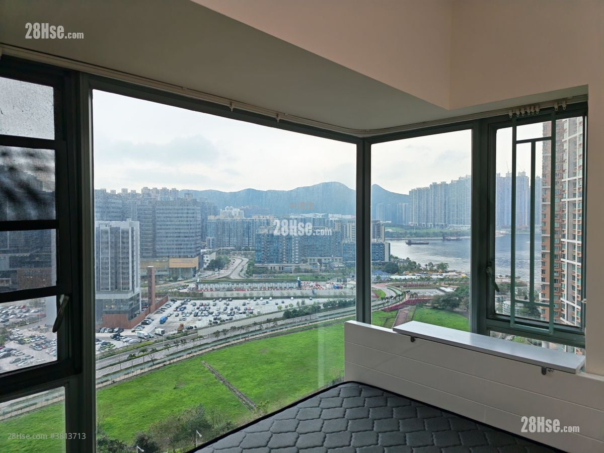 Ocean Shores Rental 2 Bedrooms , 1 Bathroom 533 ft²