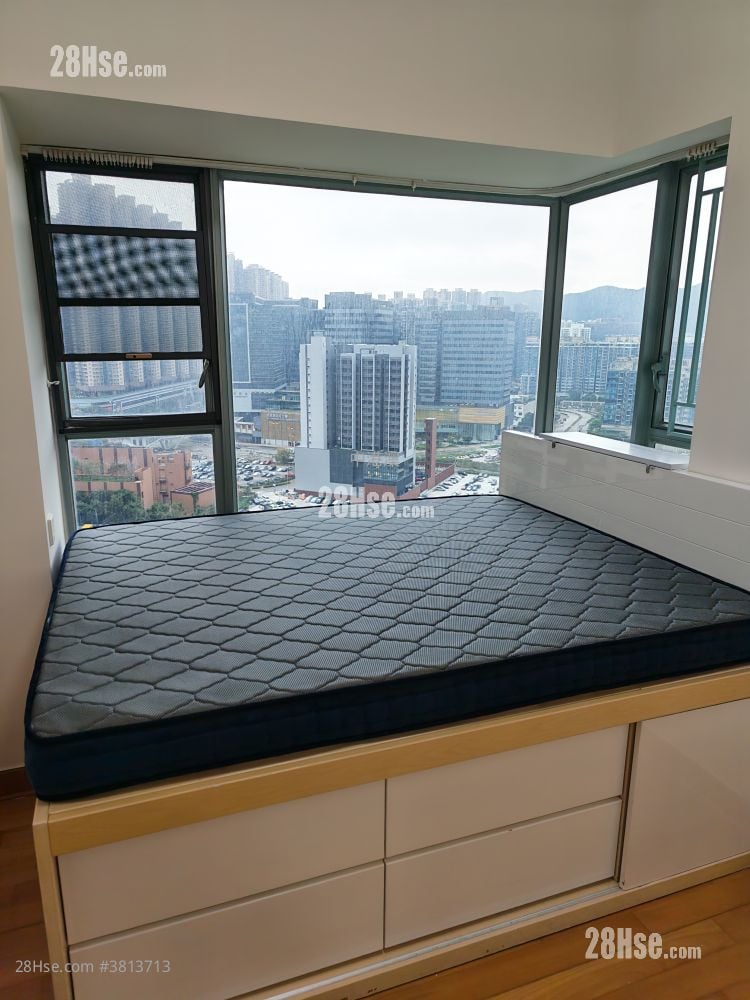 Ocean Shores Rental 2 Bedrooms , 1 Bathroom 533 ft²