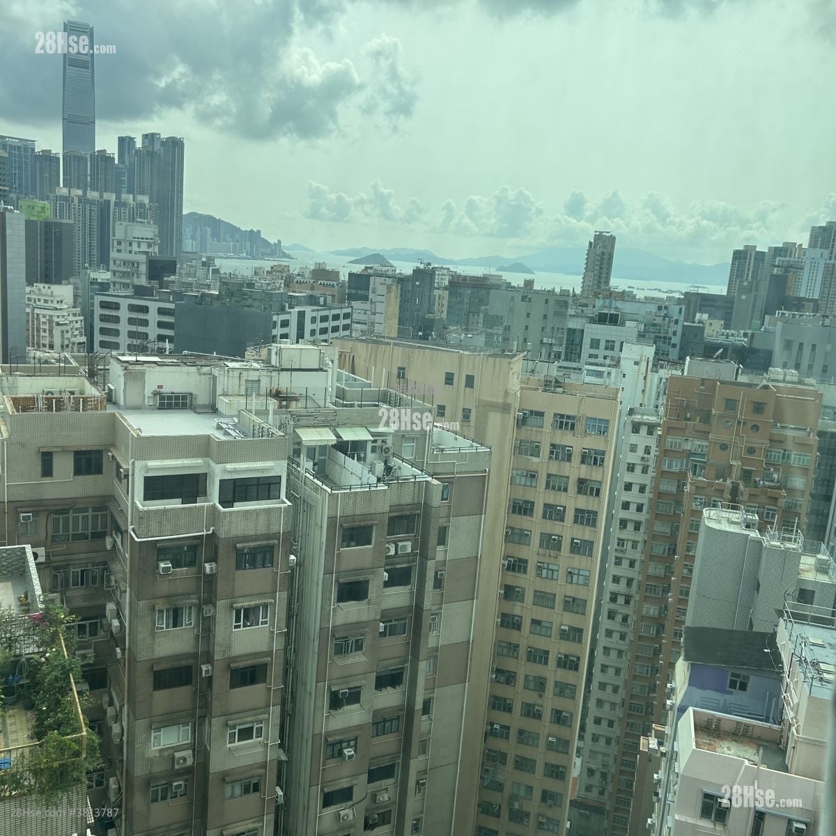 Paradise Square Rental 454 ft²