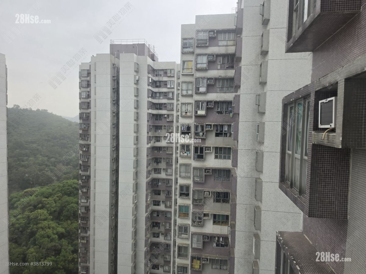 伟景花园 售盘 2 房 , 1 浴室 504 平方尺