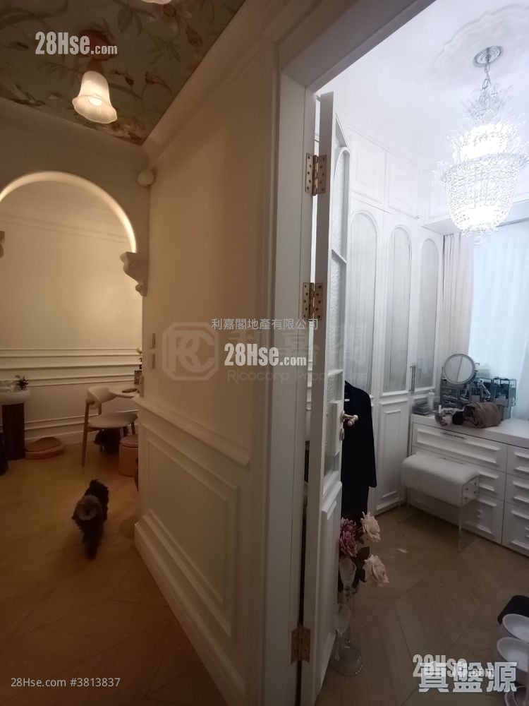 Grand Mayfair  Rental 3 Bedrooms , 1 Bathroom 522 ft²