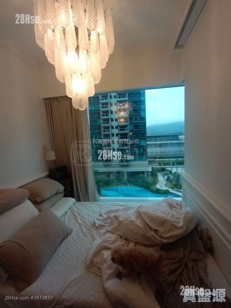 Grand Mayfair  Rental 3 Bedrooms , 1 Bathroom 522 ft²