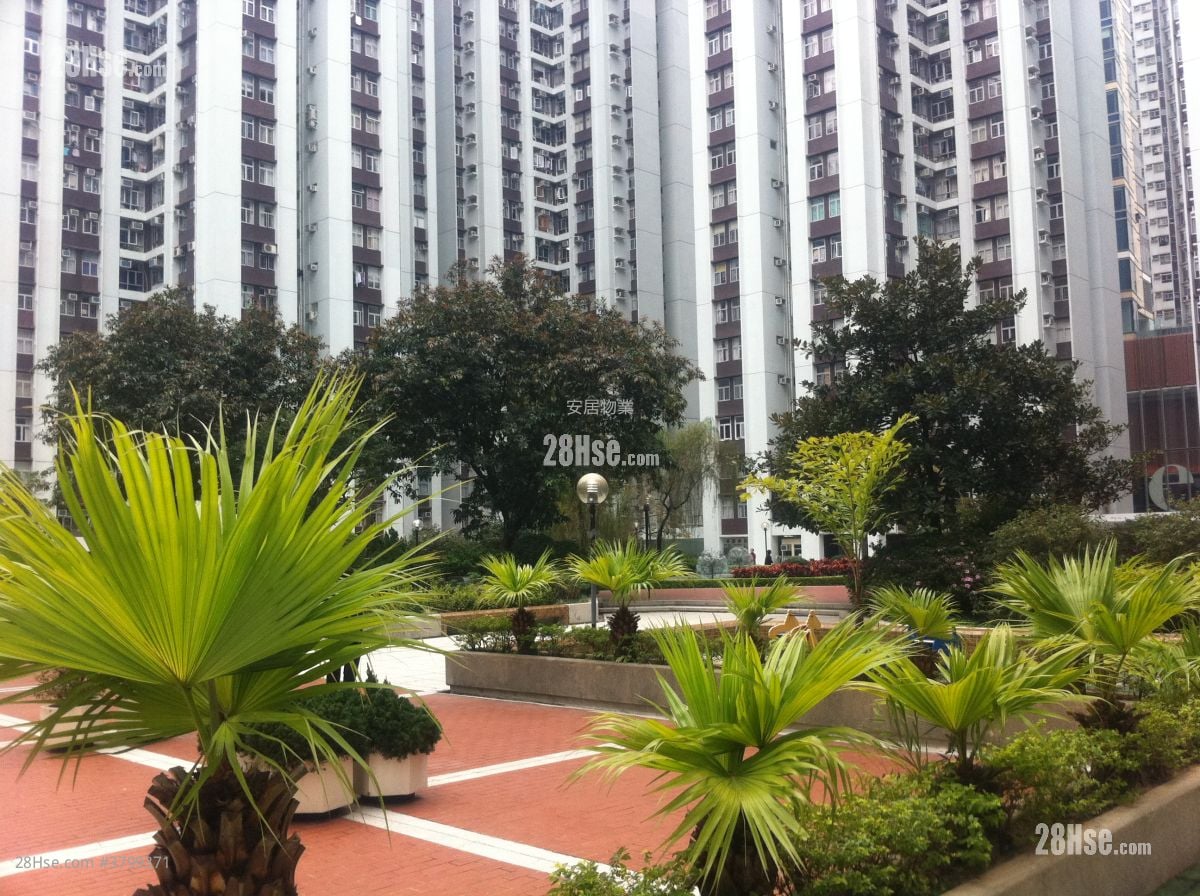 太古城 租盘 3 房 , 2 浴室 747 平方尺