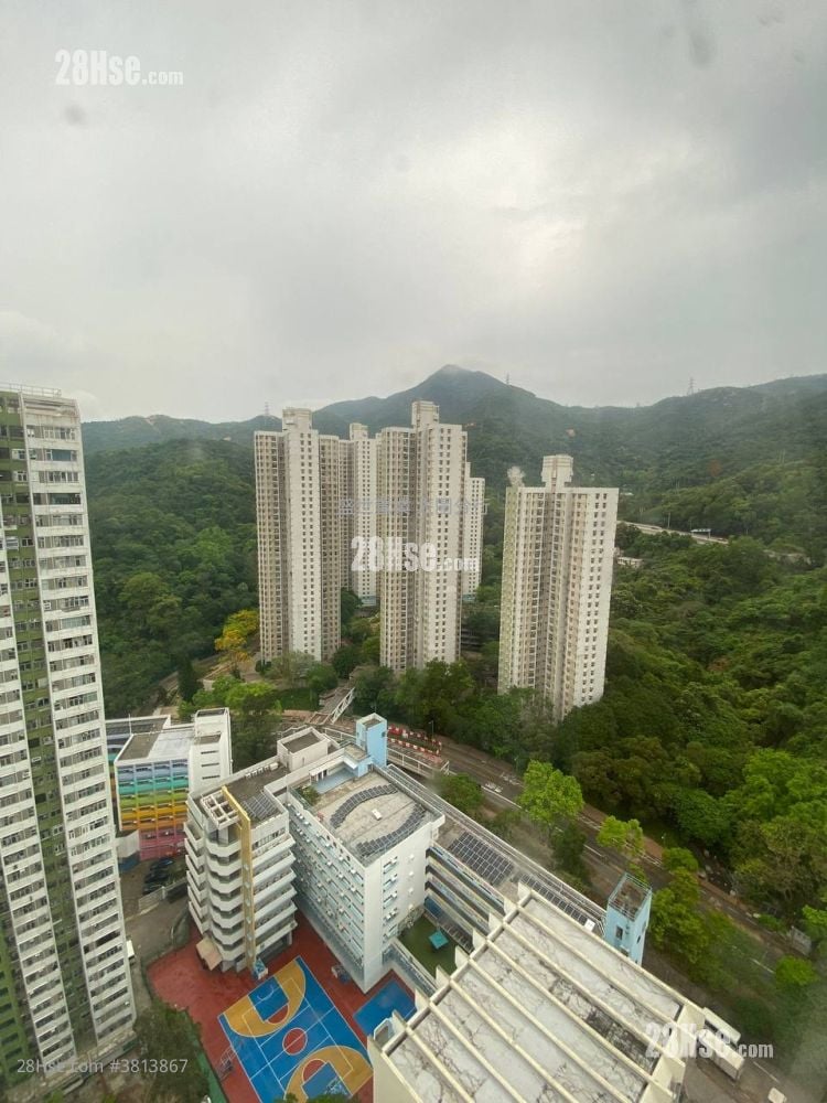 美城苑 售盘 490 平方尺