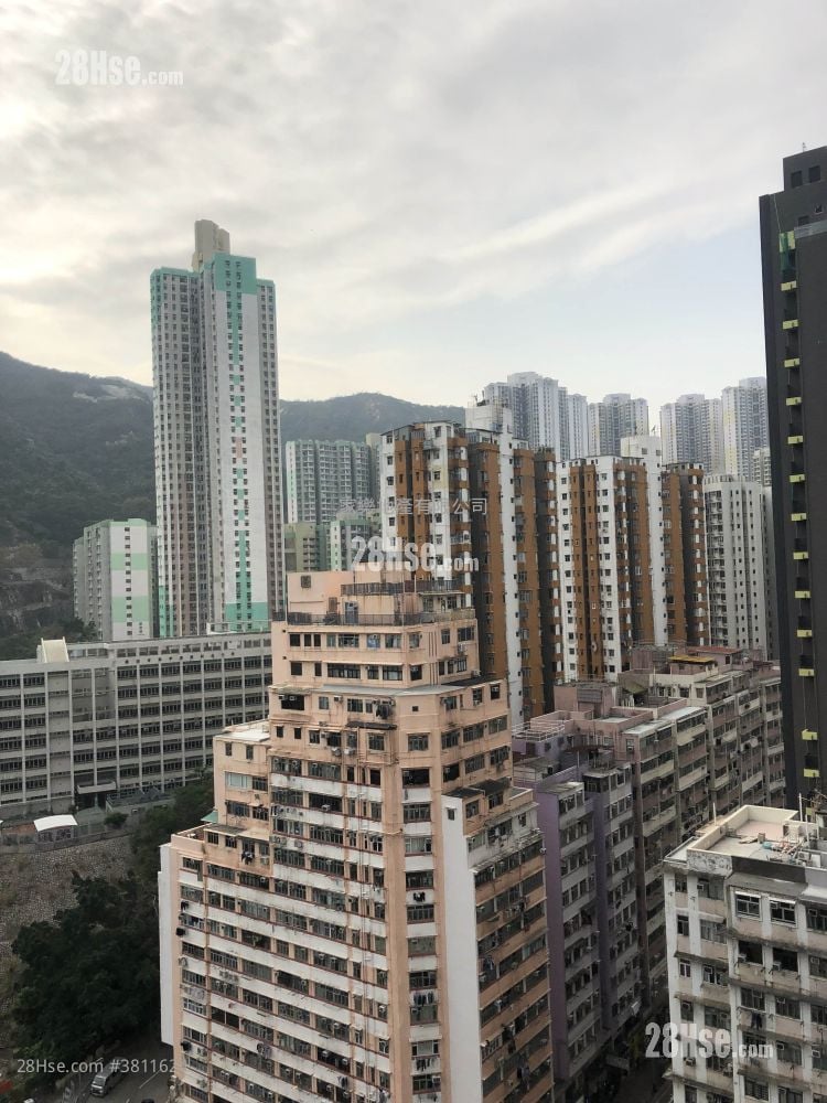 形荟 租盘 2 房 , 1 浴室 484 平方尺