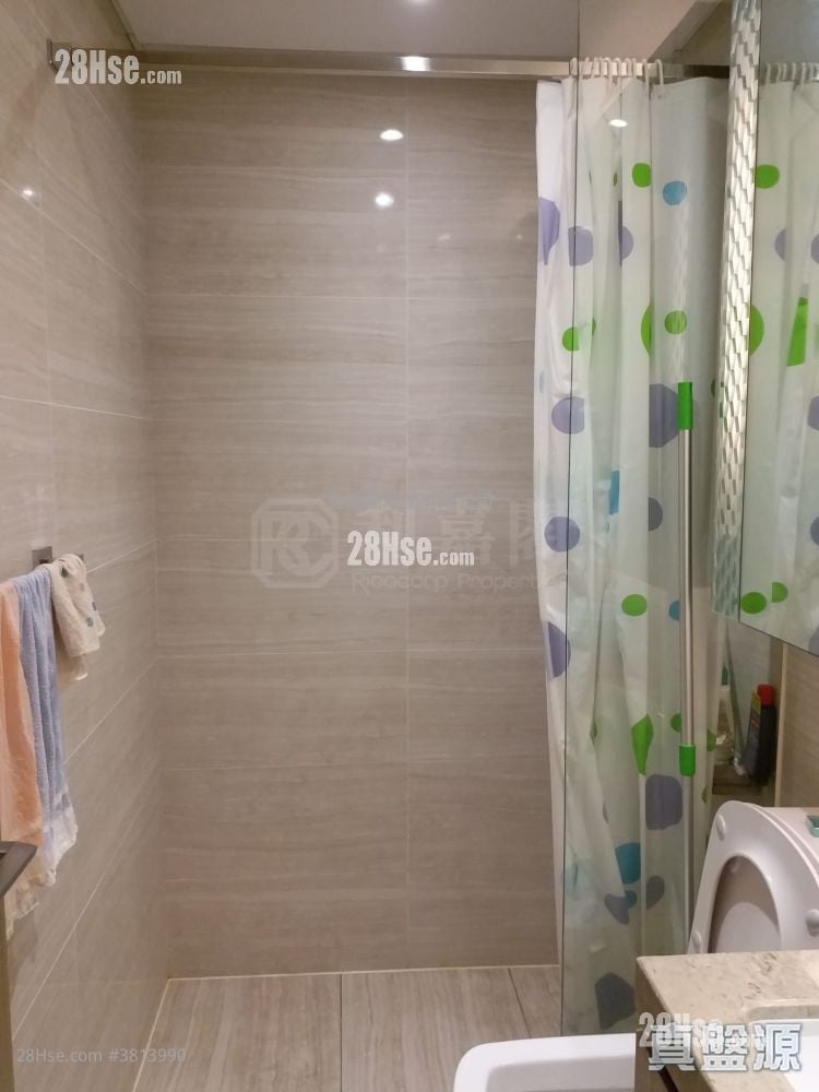 The Spectra Sell 1 Bedroom 392 ft²