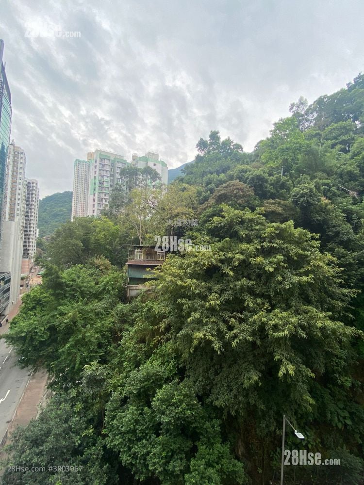 新成中心 租盤 1 房 , 1 浴室 294 平方呎