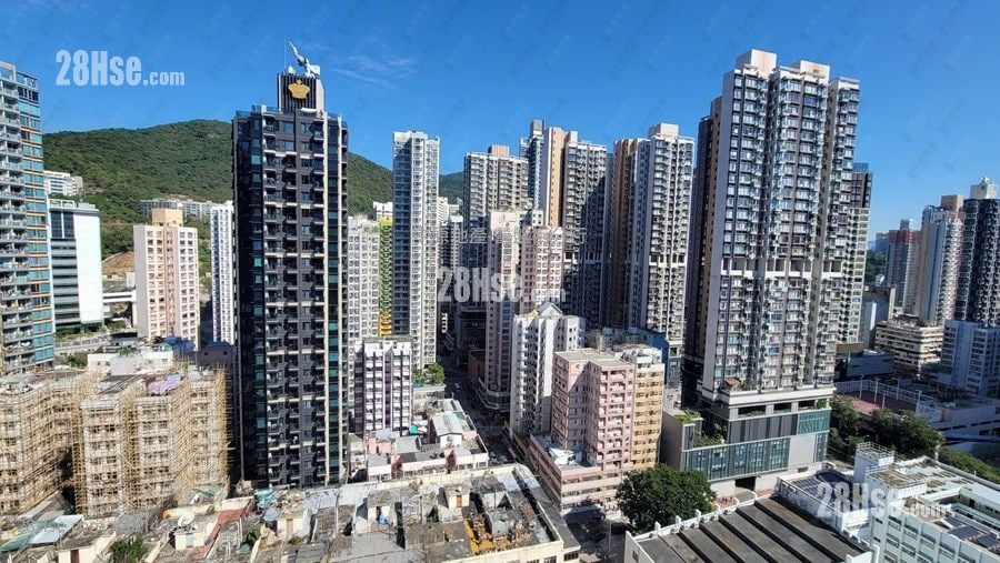 晓悦 售盘 1 房 316 平方尺