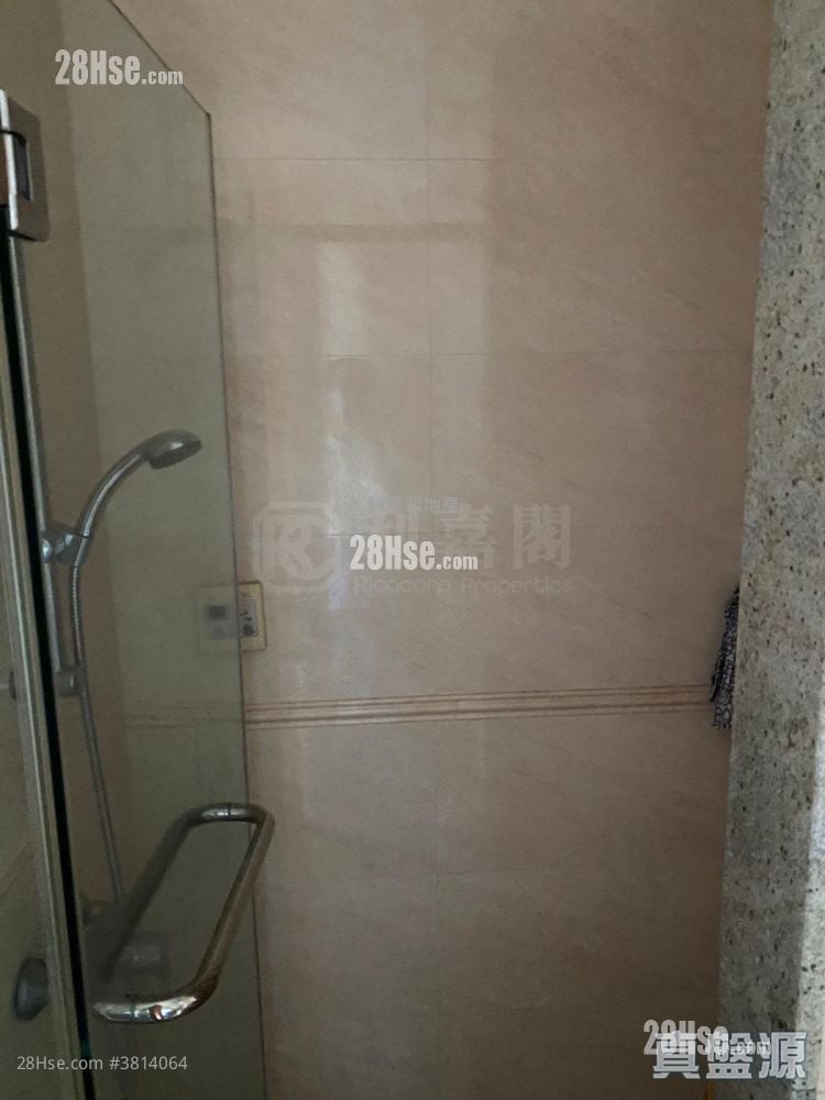 成龙居 售盘 1 房 316 平方尺